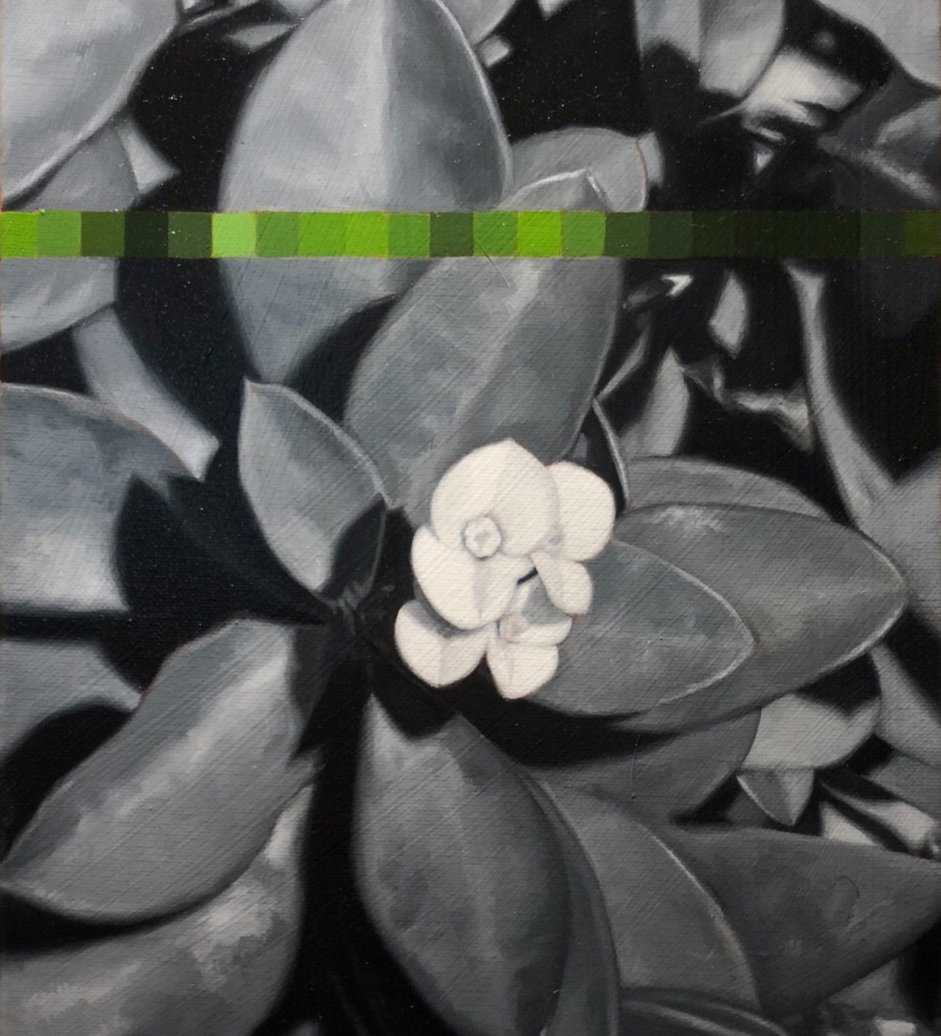 'Crown of Thorns' is a 14"x11" oil on canvas painting by Brian Batt, featuring a striking blend of blacks, gray, and green. This contemporary artwork showcases flowers intertwined with thorns, reflecting themes of resilience and transformation, making it a compelling piece for nature and modern art enthusiasts.