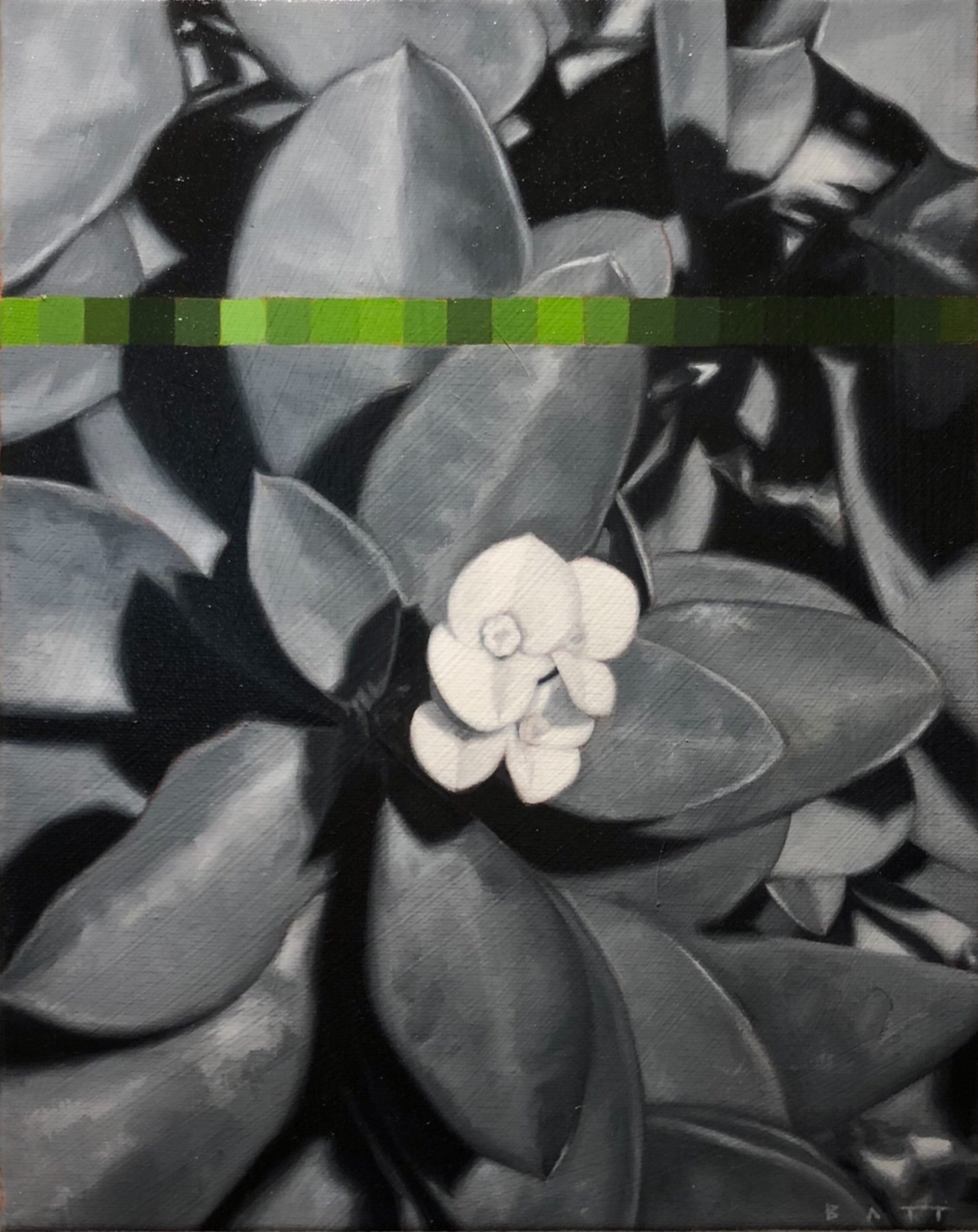 'Crown of Thorns' is a 14"x11" oil on canvas painting by Brian Batt, featuring a striking blend of blacks, gray, and green. This contemporary artwork showcases flowers intertwined with thorns, reflecting themes of resilience and transformation, making it a compelling piece for nature and modern art enthusiasts.