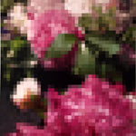  A vibrant oil painting titled Peonies by Brian Batt, measuring 24x20 inches. The artwork features a striking color palette of hot pink, green, and white, showcasing a modernist interpretation of flowers with a blend of gestural abstraction and pixelated structures, inviting viewers into a lush floral experience.