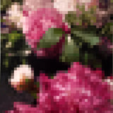 A vibrant oil painting titled Peonies by Brian Batt, measuring 24x20 inches. The artwork features a striking color palette of hot pink, green, and white, showcasing a modernist interpretation of flowers with a blend of gestural abstraction and pixelated structures, inviting viewers into a lush floral experience.
