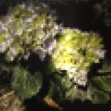 HYDRANGEAS 2 | 38"x30"